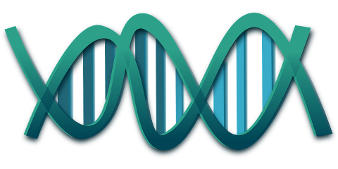 gene-new